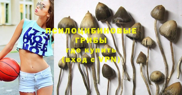 тгк Билибино