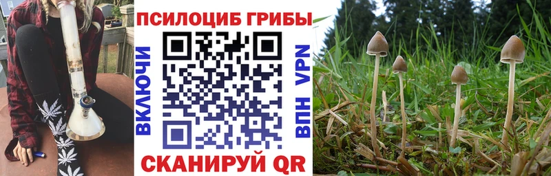 Галлюциногенные грибы мухоморы Родники